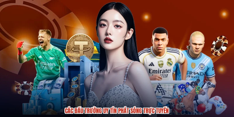 Các đấu trường uy tín phát sóng trực tuyến