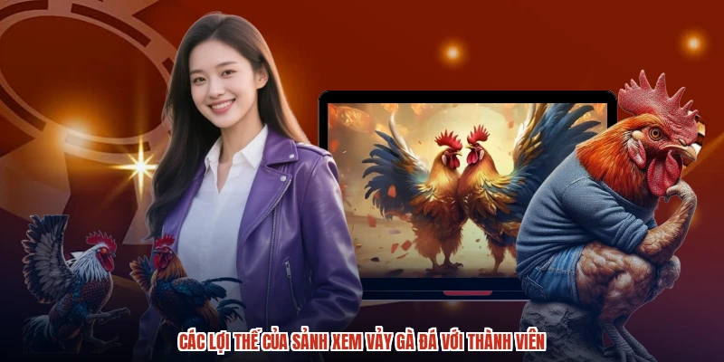 Các lợi thế của sảnh xem vảy gà đá với thành viên