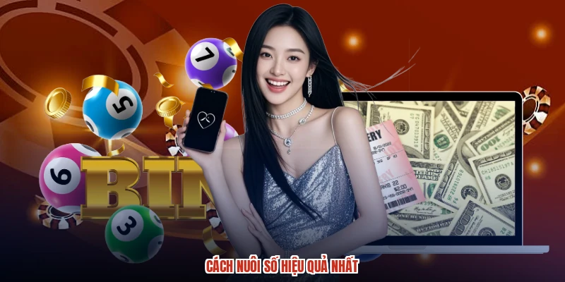 Cách nuôi số hiệu quả nhất