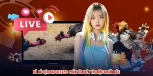 Đá Gà Cựa Dao ALO789: Phân Tích Kèo Và Cược Chuẩn Xác