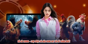 Đá Gà Thomo - Loại Cược Gà Nào Đang Hot Và Dễ Thắng Nhất