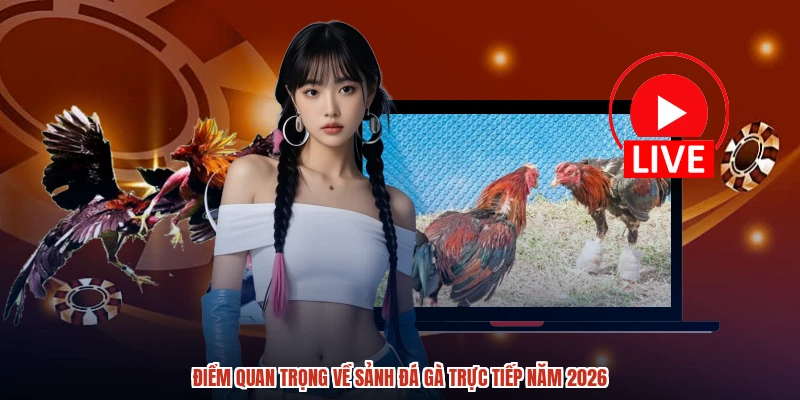 Điểm quan trọng về sảnh đá gà trực tiếp năm 2026