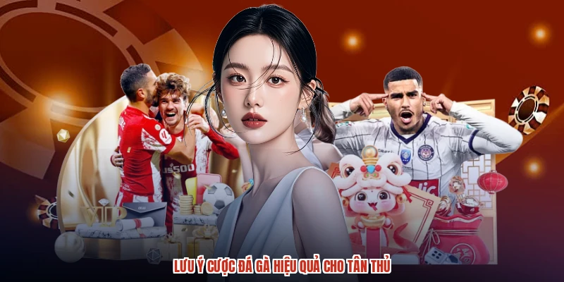 Lưu ý cược đá gà hiệu quả cho tân thủ