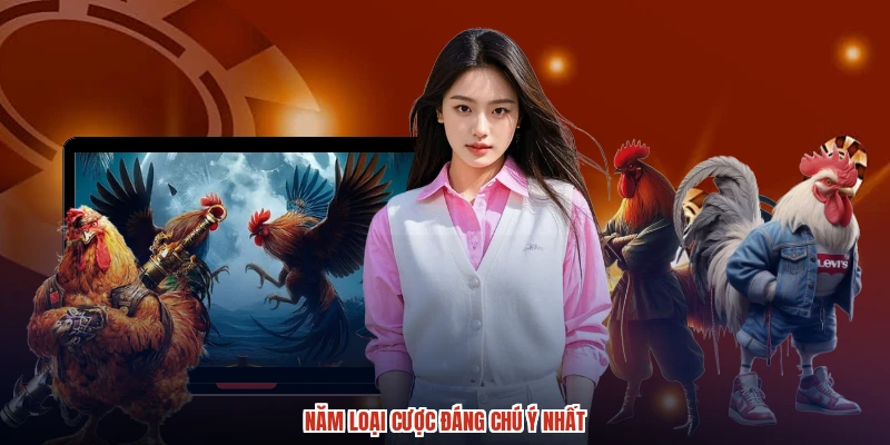 Năm loại cược đáng chú ý nhất