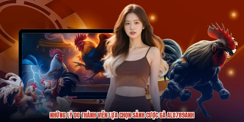 Những lý do thành viên lựa chọn sảnh cược gà ALO789anh
