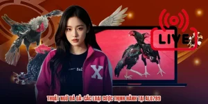 Thuật Ngữ Đá Gà: Các Loại Cược Thịnh Hành Tại ALO789