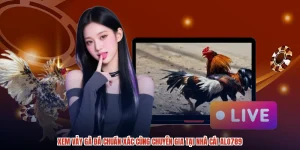 Xem Vảy Gà Đá Chuẩn Xác Cùng Chuyên Gia Tại Nhà Cái ALO789